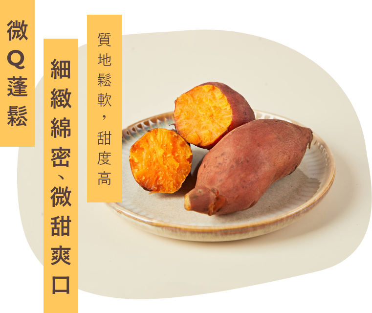 台農66號黃金地瓜原物料
