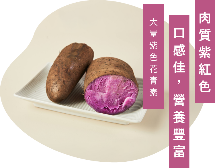 紫色山藥原物料