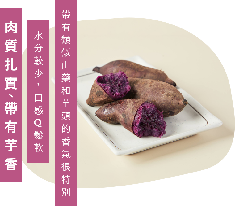 全富選用紫色地瓜製作粉角